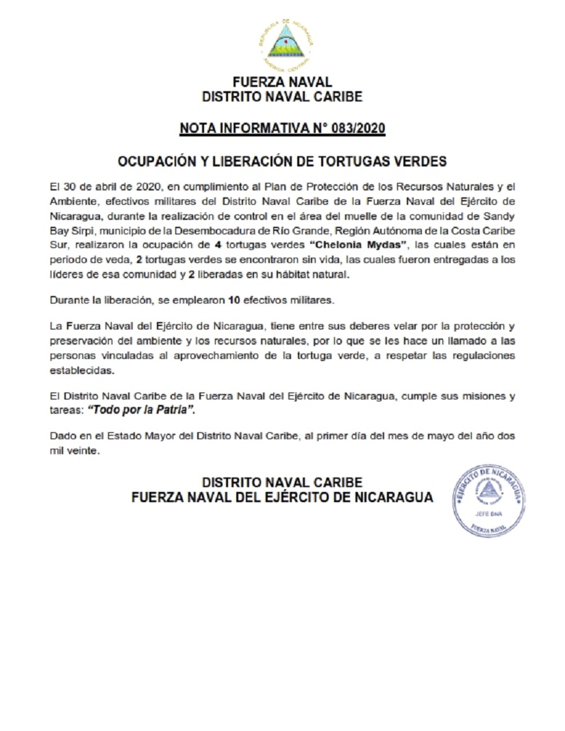 tortugas1